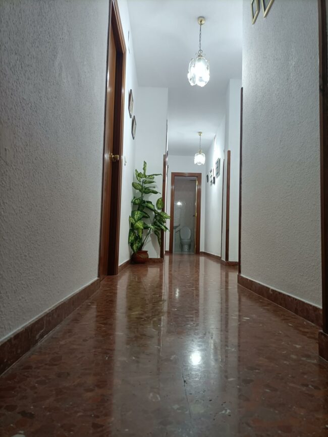 IMG20240130115005