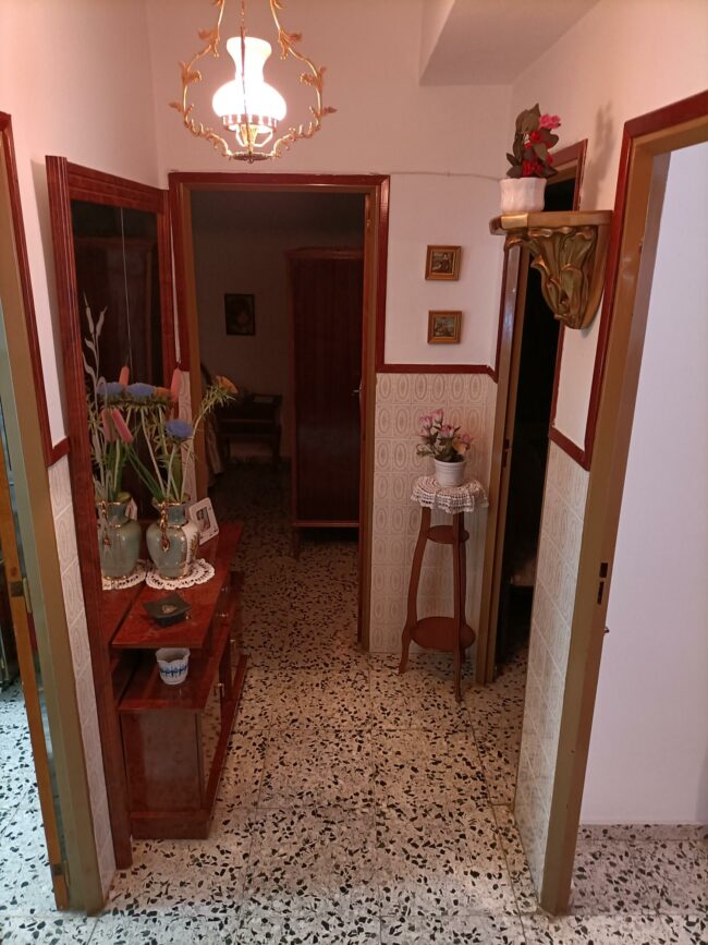 IMG20240416122451